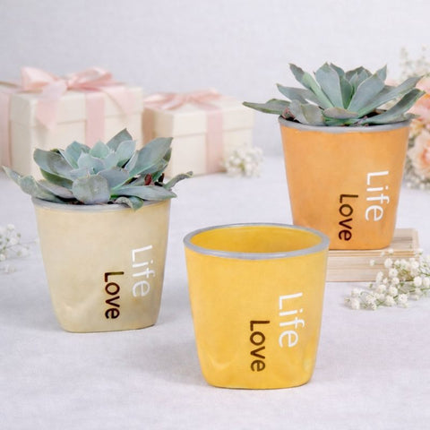 Vaso Portapiante da Interno Life Love - Bomboniera Originale