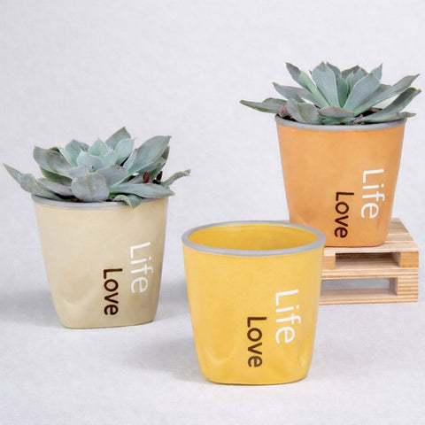 Vaso Portapiante da Interno Life Love - Bomboniera Originale