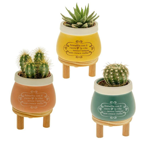 bomboniere portapiante colorati con stand in legno