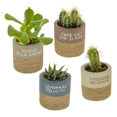 VASI PORTA PIANTE IN TERRACOTTA CON FRASI BOMBONIERE UTILI