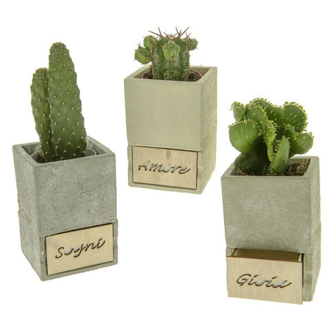 portapiante bomboniere in terracotta bomboniere originali