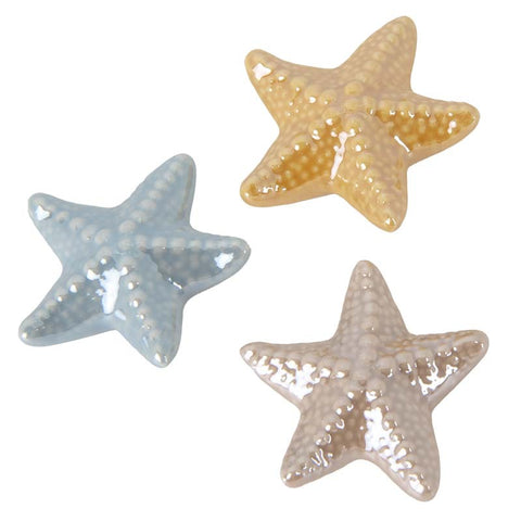 Calamita Stella Marina: Eleganza in Porcellana